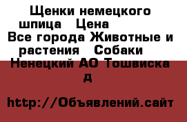 Щенки немецкого шпица › Цена ­ 20 000 - Все города Животные и растения » Собаки   . Ненецкий АО,Тошвиска д.